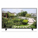43inch Full HD DLED TV D4306